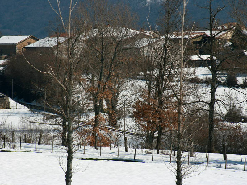 The village in the snow